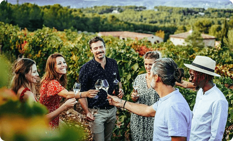 Wine Tour